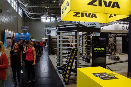 fibo