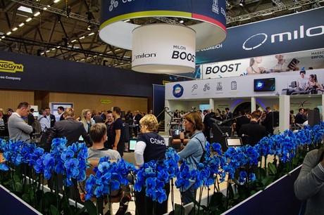 fibo