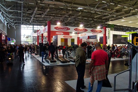 fibo