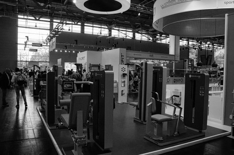 fibo