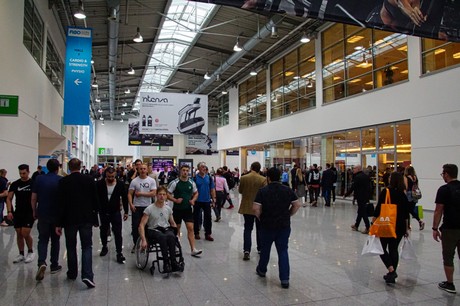 fibo