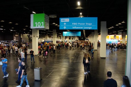 fibo