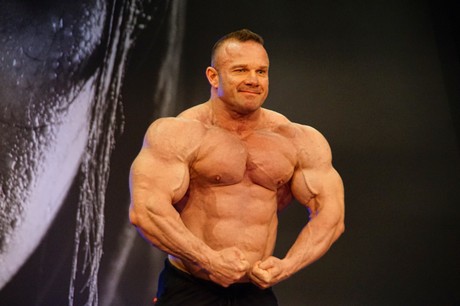 fibo
