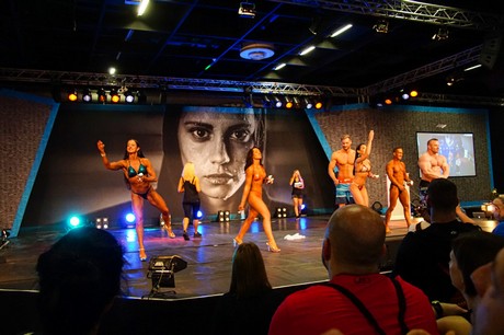 fibo