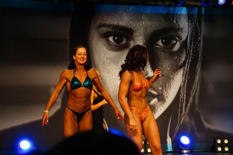 fibo