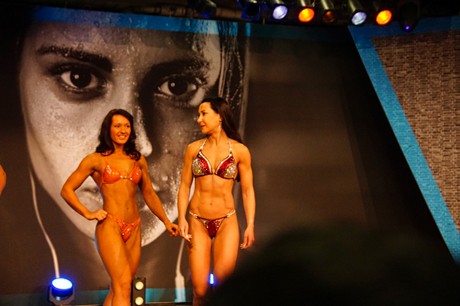 fibo