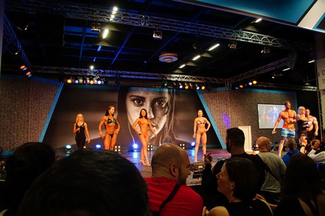 fibo