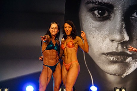 fibo