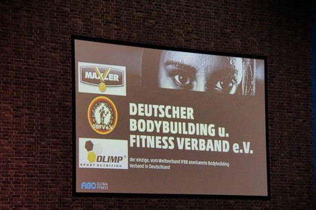 fibo