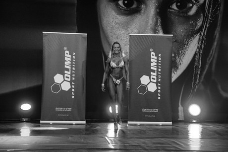 fibo