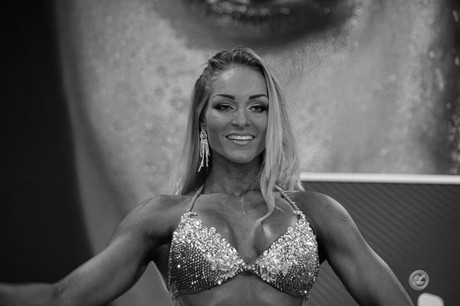 fibo