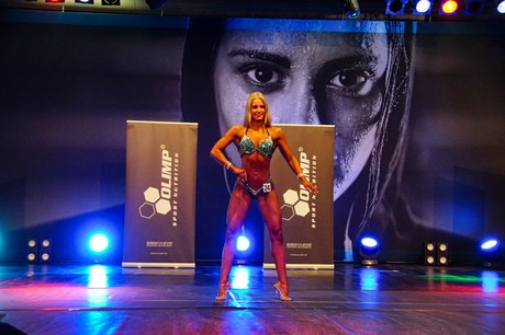 fibo