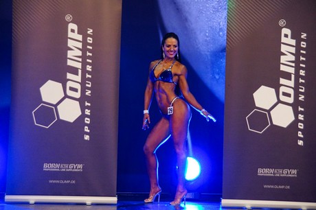fibo