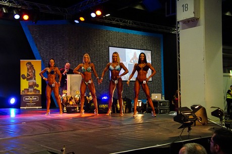 fibo