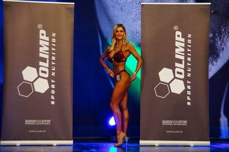 fibo