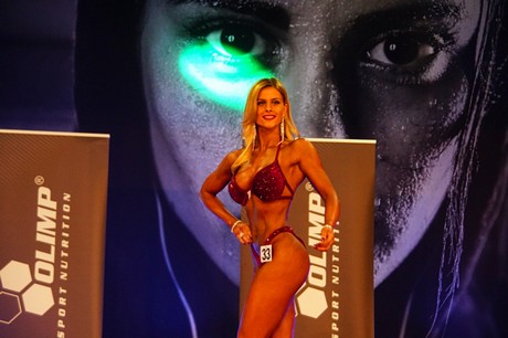 fibo