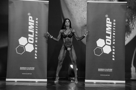 fibo