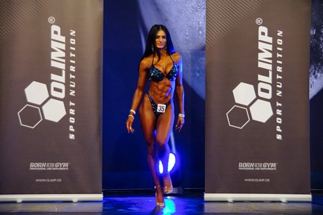 fibo