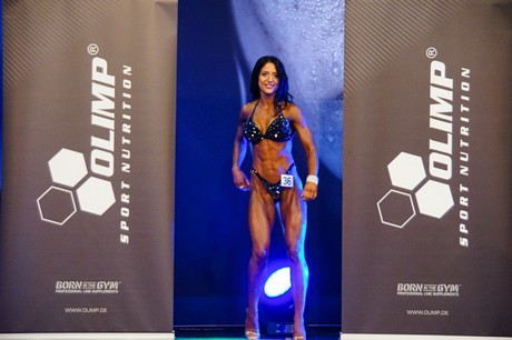 fibo