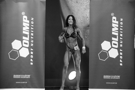 fibo