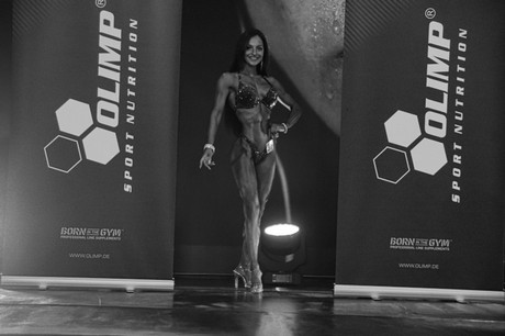 fibo