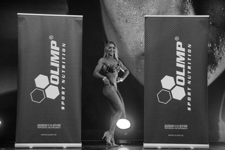 fibo