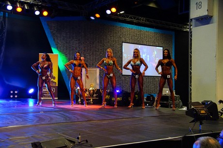 fibo