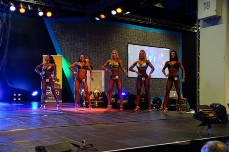 fibo
