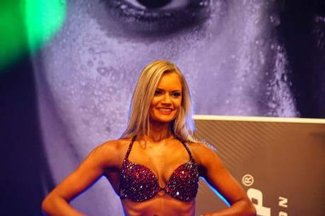 fibo