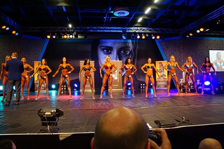 fibo