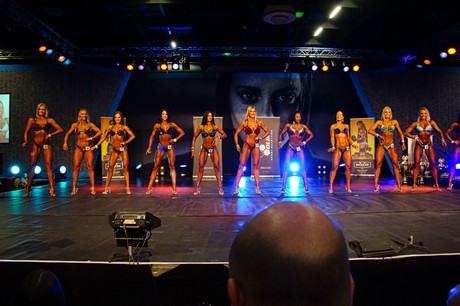 fibo
