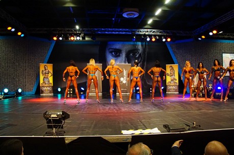 fibo