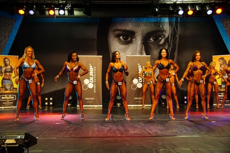 fibo