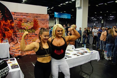 fibo