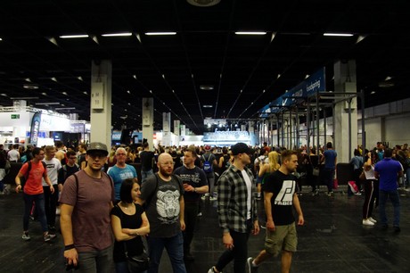 fibo