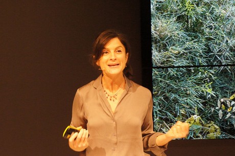 Photokina