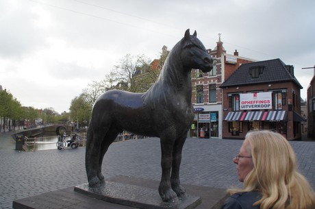 friesenpferd