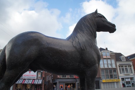 friesenpferd