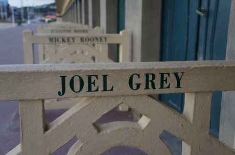 joel-grey