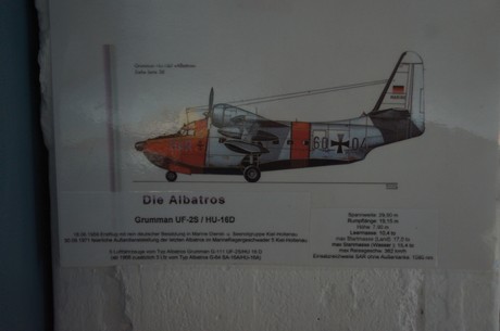 die-albatros
