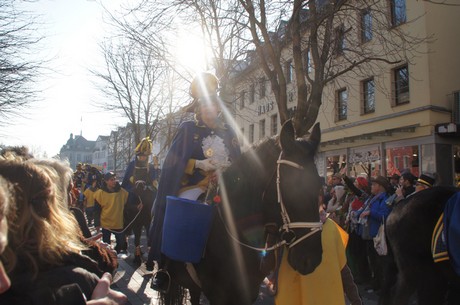 fidele-broehler-falkenjaeger