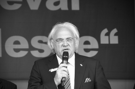 hans-mayer