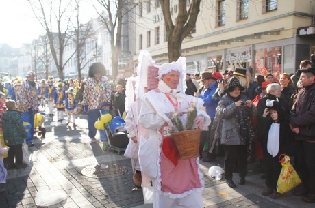 kig-de-raderkastendoll