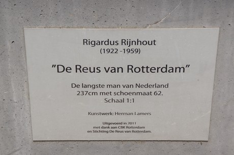 rigardus-rijnhout