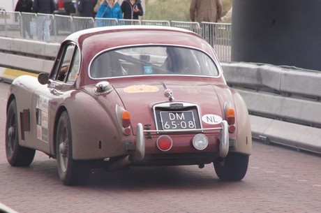 thijs-bender