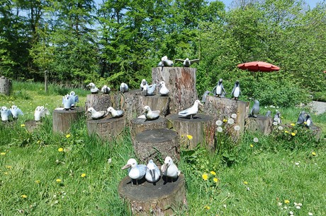 musterbild