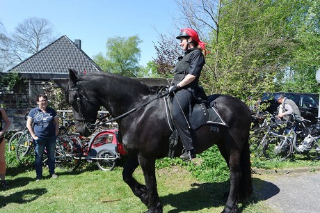 friese-ouke