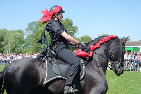 friese-ouke
