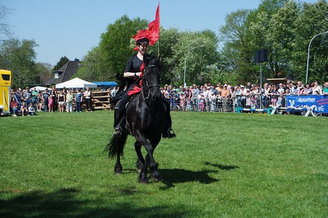friese-ouke