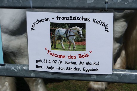 musterbild